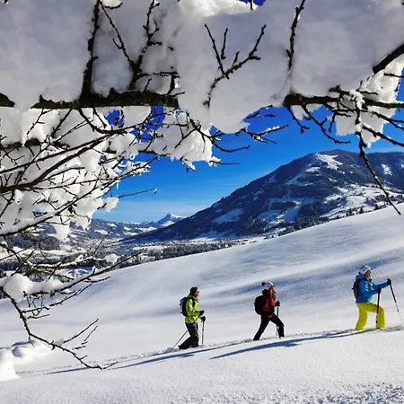 Lejlighed Garten Kirchberg By Alpine Host Helpers Kirchberg in Tirol
